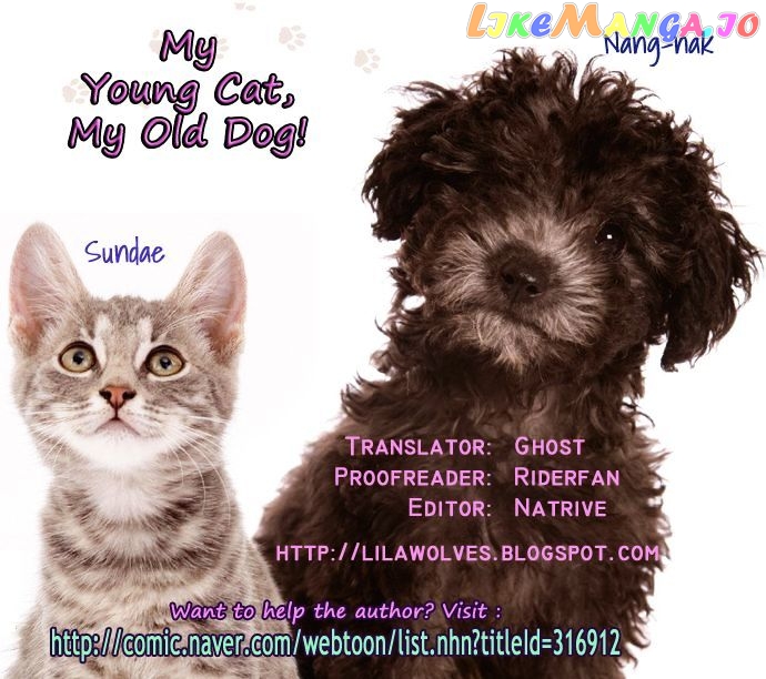 My Young Cat And My Old Dog chapter 61 - page 4