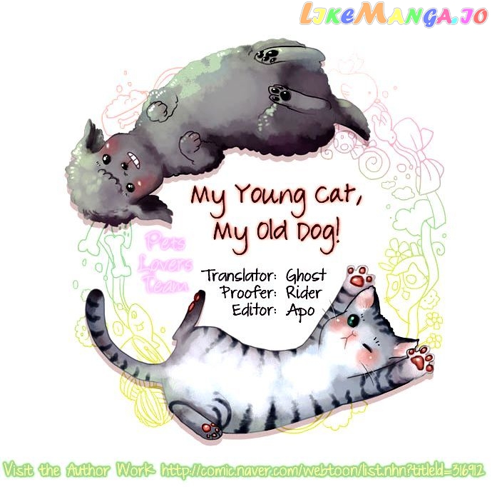 My Young Cat And My Old Dog chapter 64 - page 3