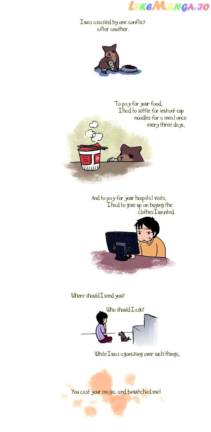 My Young Cat And My Old Dog chapter 67 - page 2