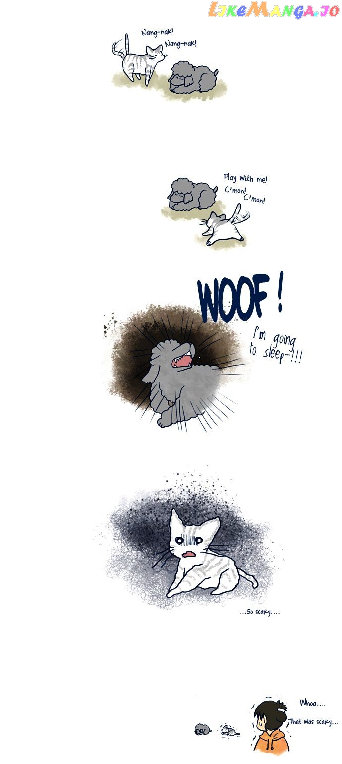 My Young Cat And My Old Dog chapter 70 - page 2