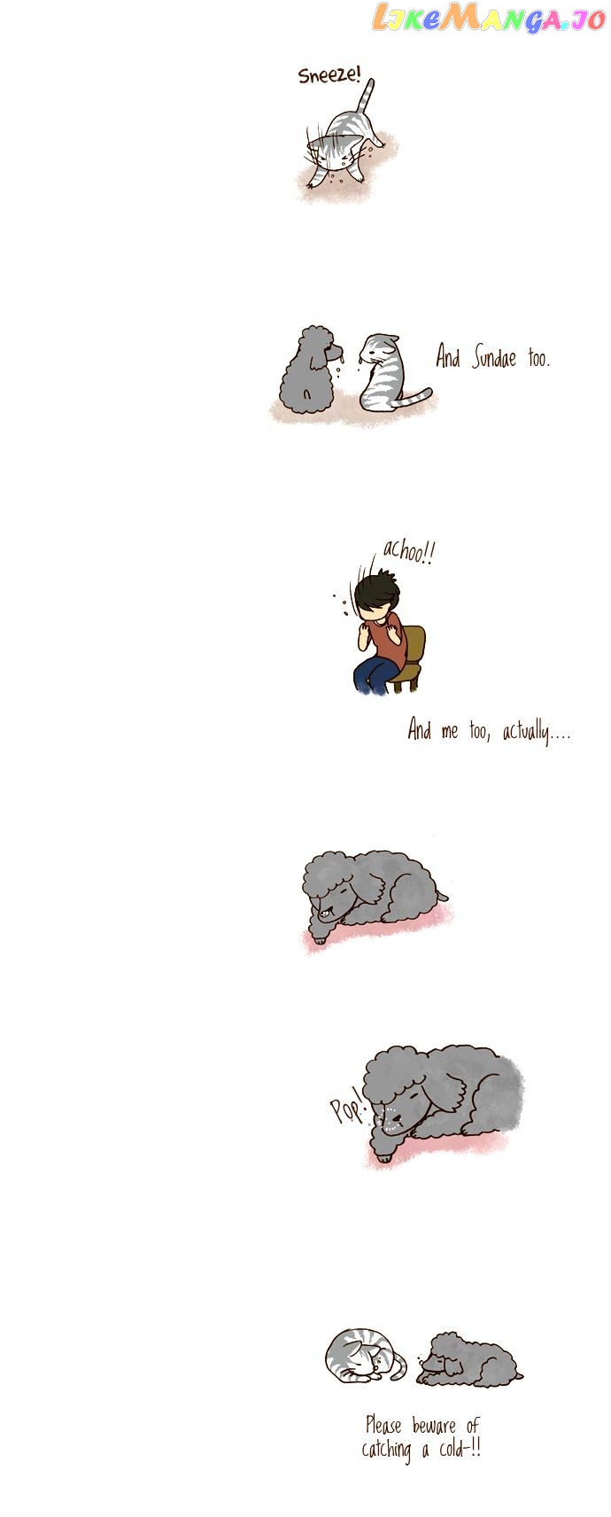 My Young Cat And My Old Dog chapter 71 - page 3