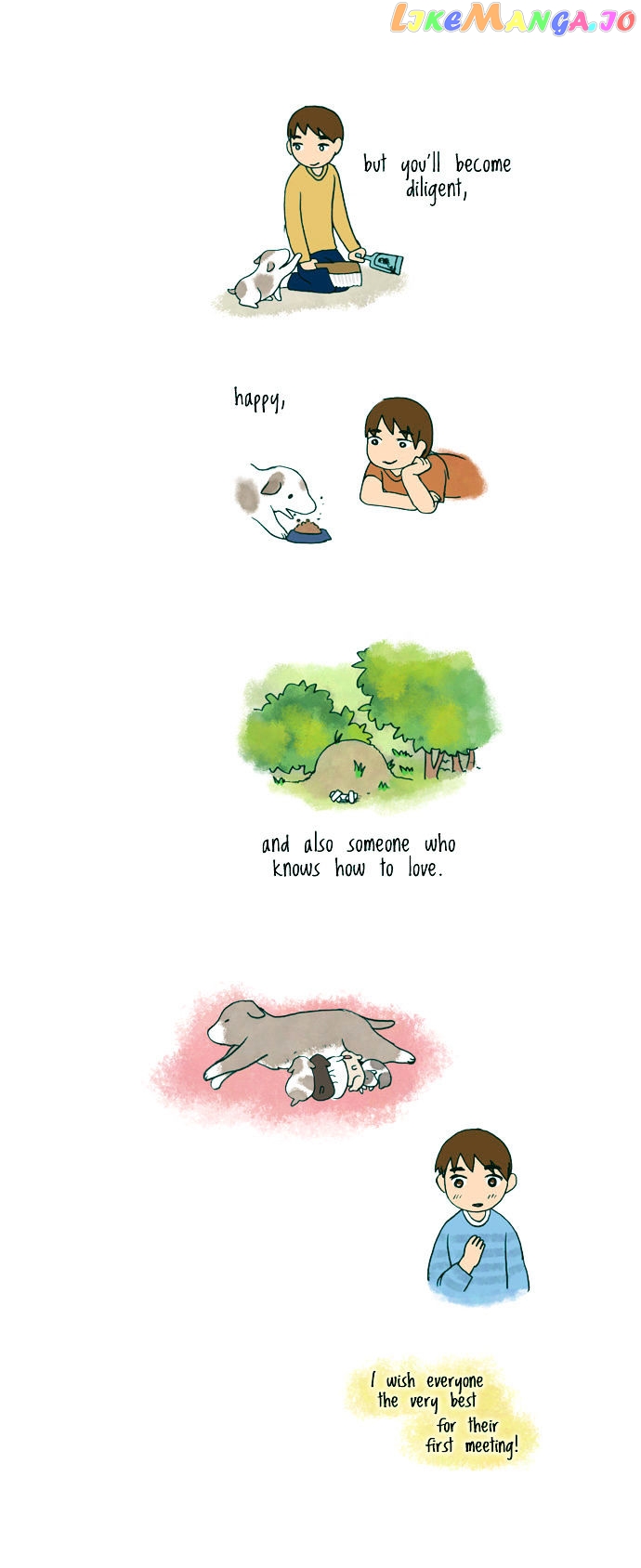 My Young Cat And My Old Dog chapter 77 - page 3