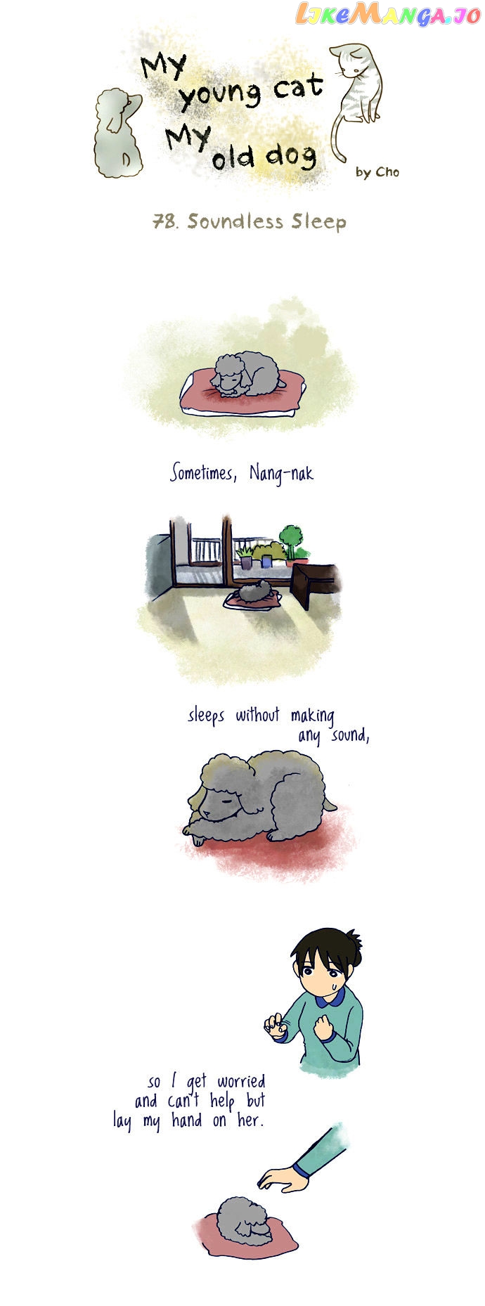 My Young Cat And My Old Dog chapter 78 - page 1