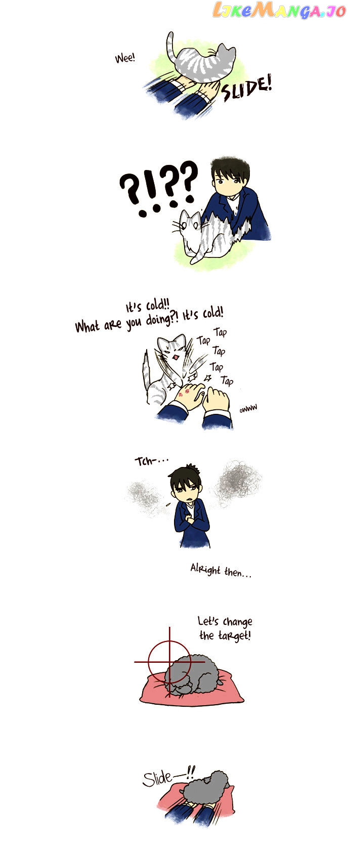 My Young Cat And My Old Dog chapter 83 - page 2
