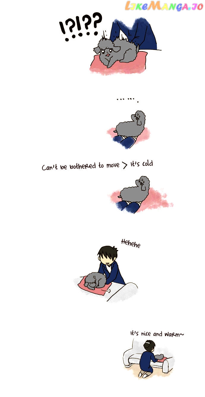 My Young Cat And My Old Dog chapter 83 - page 3