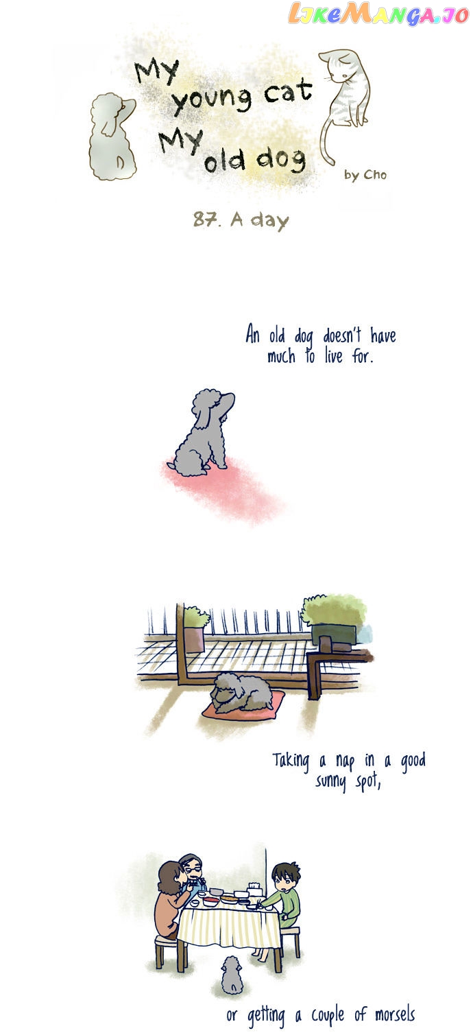 My Young Cat And My Old Dog chapter 87 - page 1