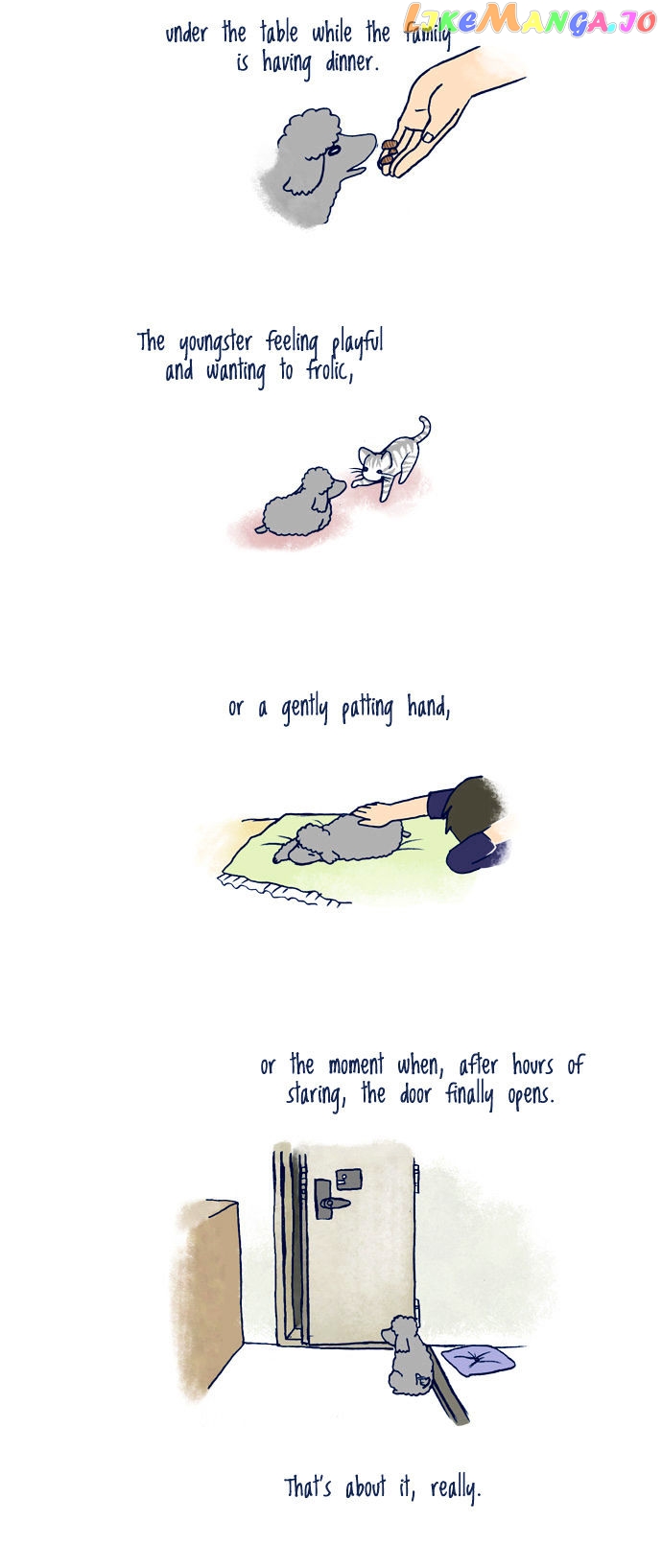 My Young Cat And My Old Dog chapter 87 - page 2