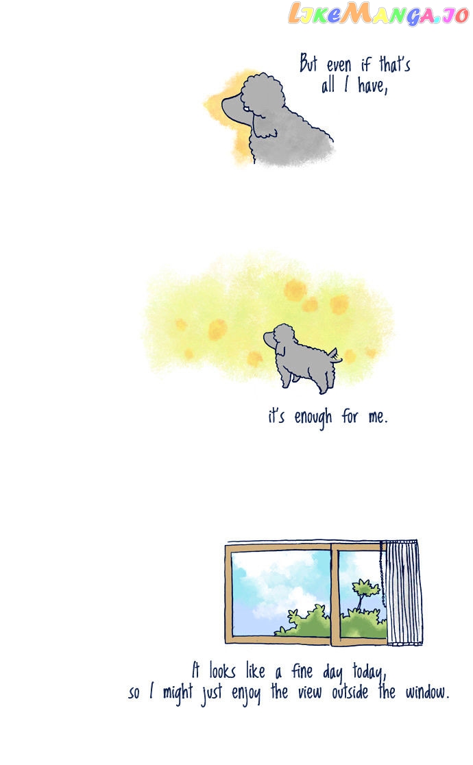 My Young Cat And My Old Dog chapter 87 - page 3