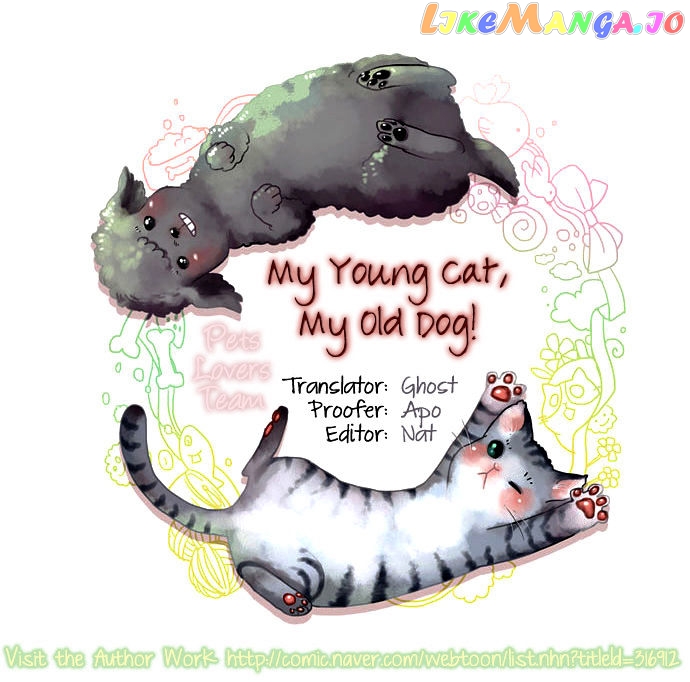 My Young Cat And My Old Dog chapter 87 - page 4