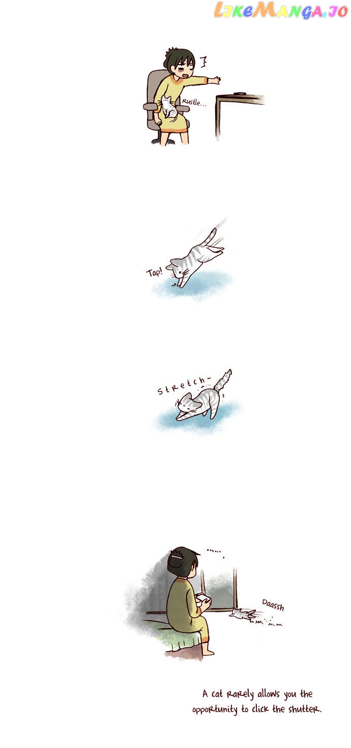 My Young Cat And My Old Dog chapter 88 - page 3