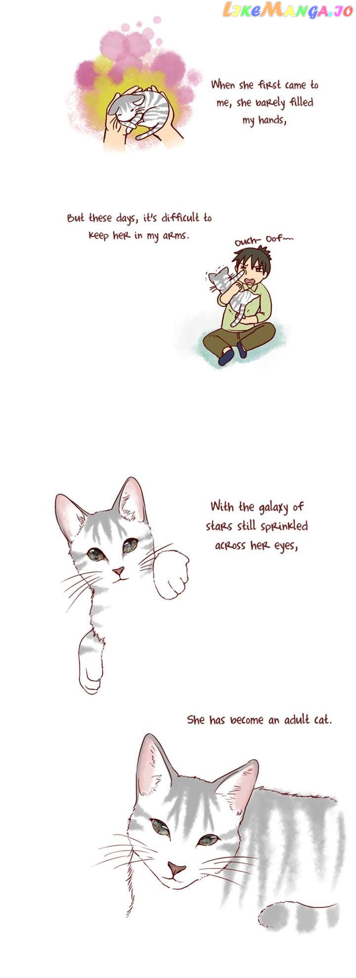 My Young Cat And My Old Dog chapter 91 - page 2