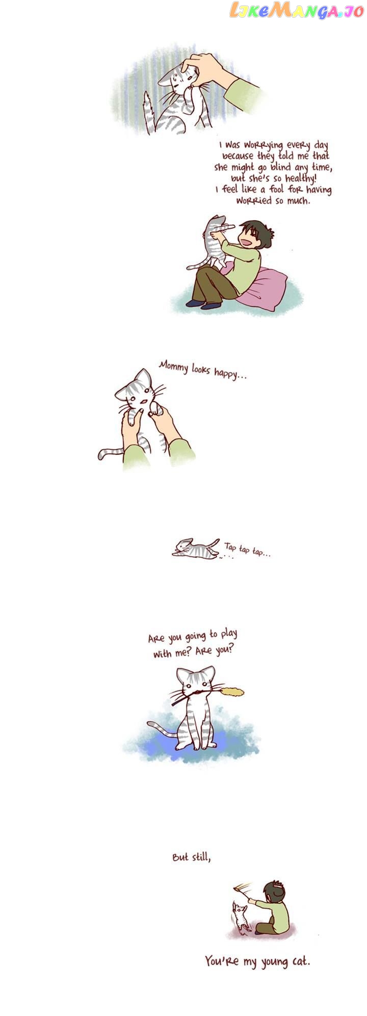 My Young Cat And My Old Dog chapter 91 - page 3