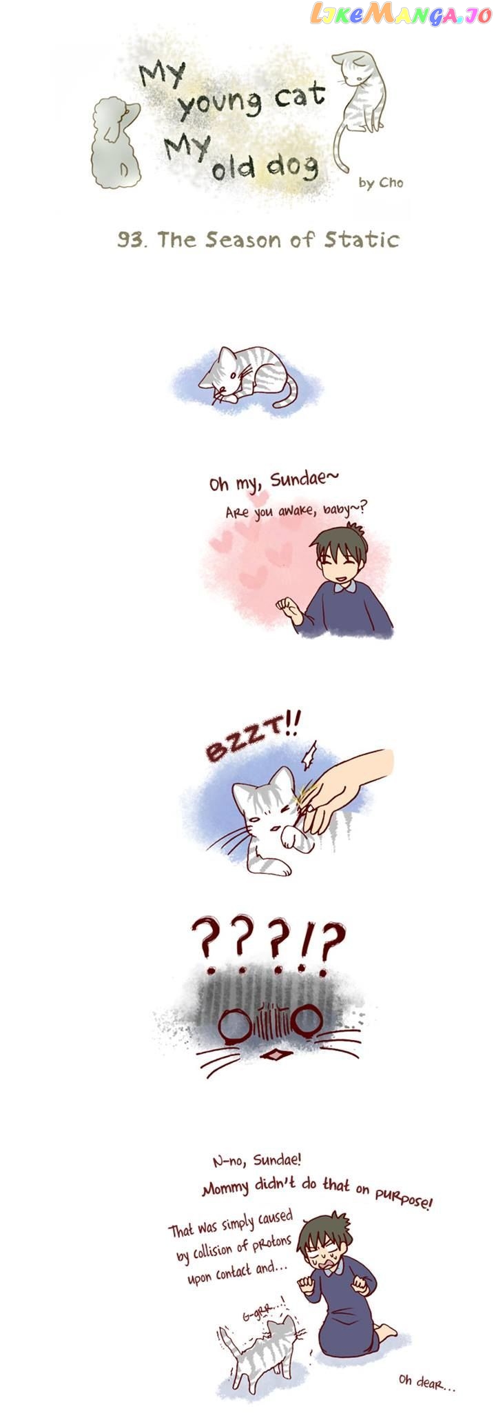 My Young Cat And My Old Dog chapter 93 - page 1