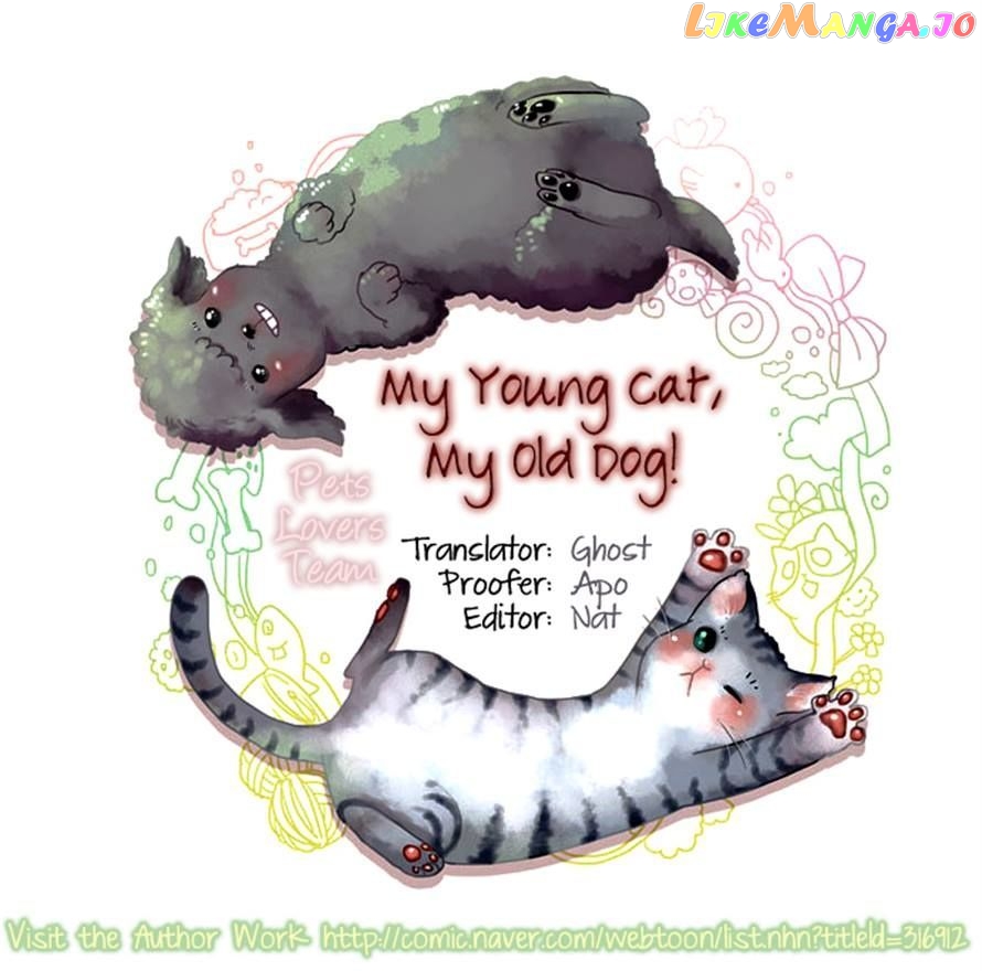 My Young Cat And My Old Dog chapter 93 - page 4