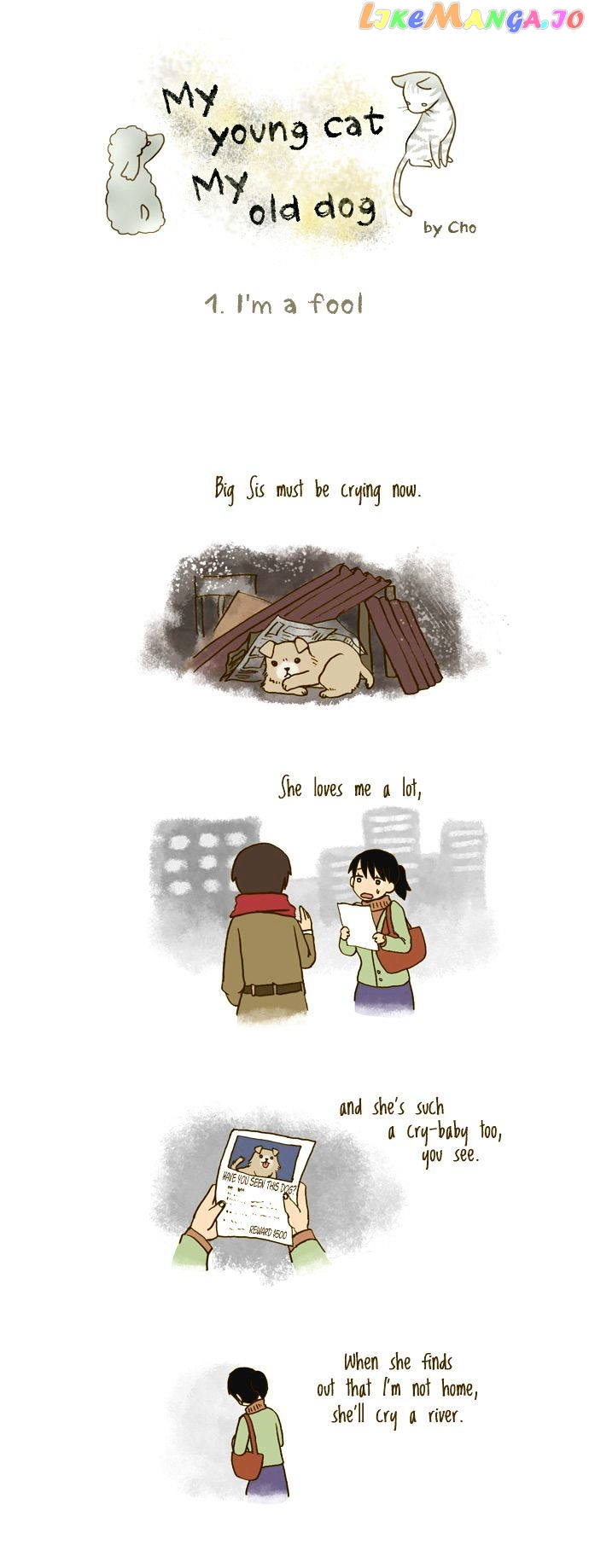 My Young Cat And My Old Dog chapter 95 - page 1
