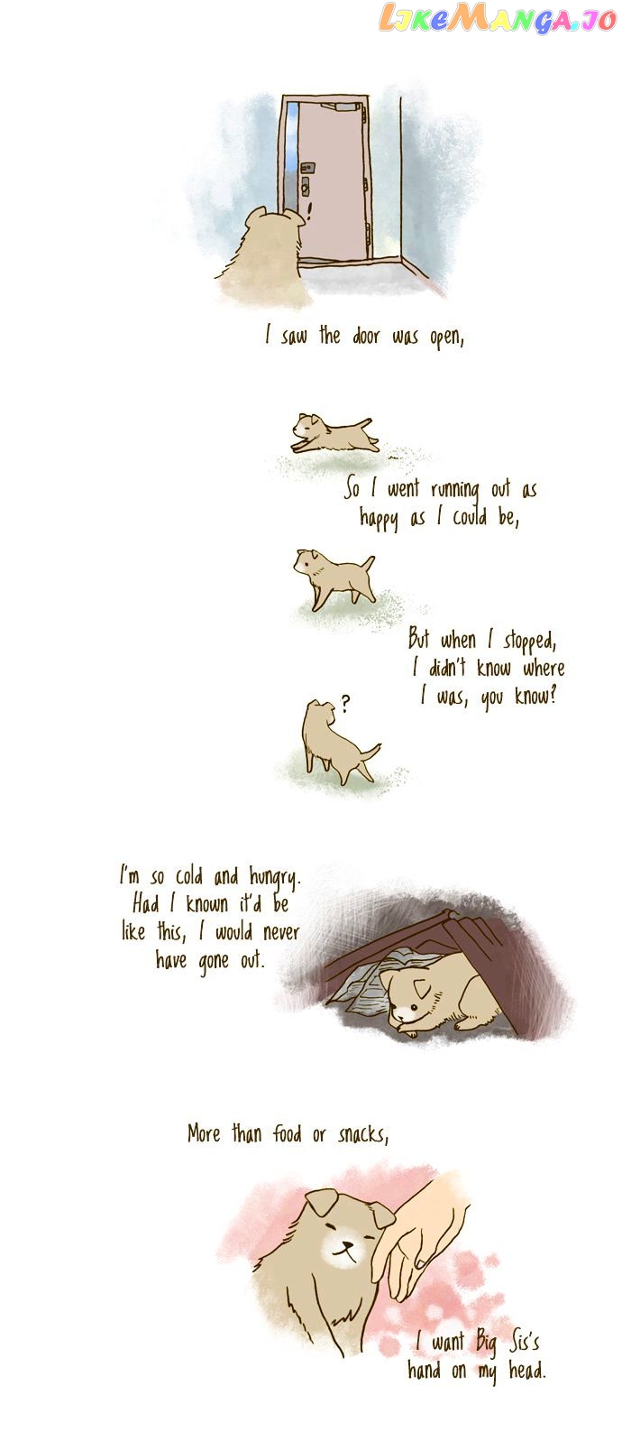 My Young Cat And My Old Dog chapter 95 - page 2