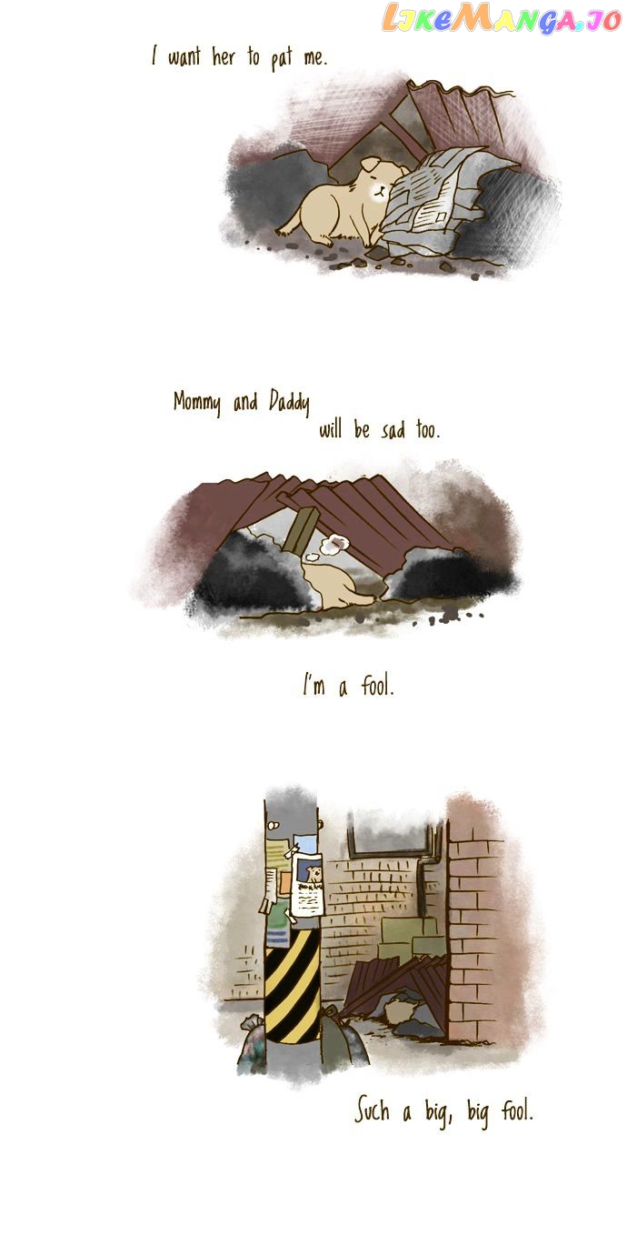 My Young Cat And My Old Dog chapter 95 - page 3