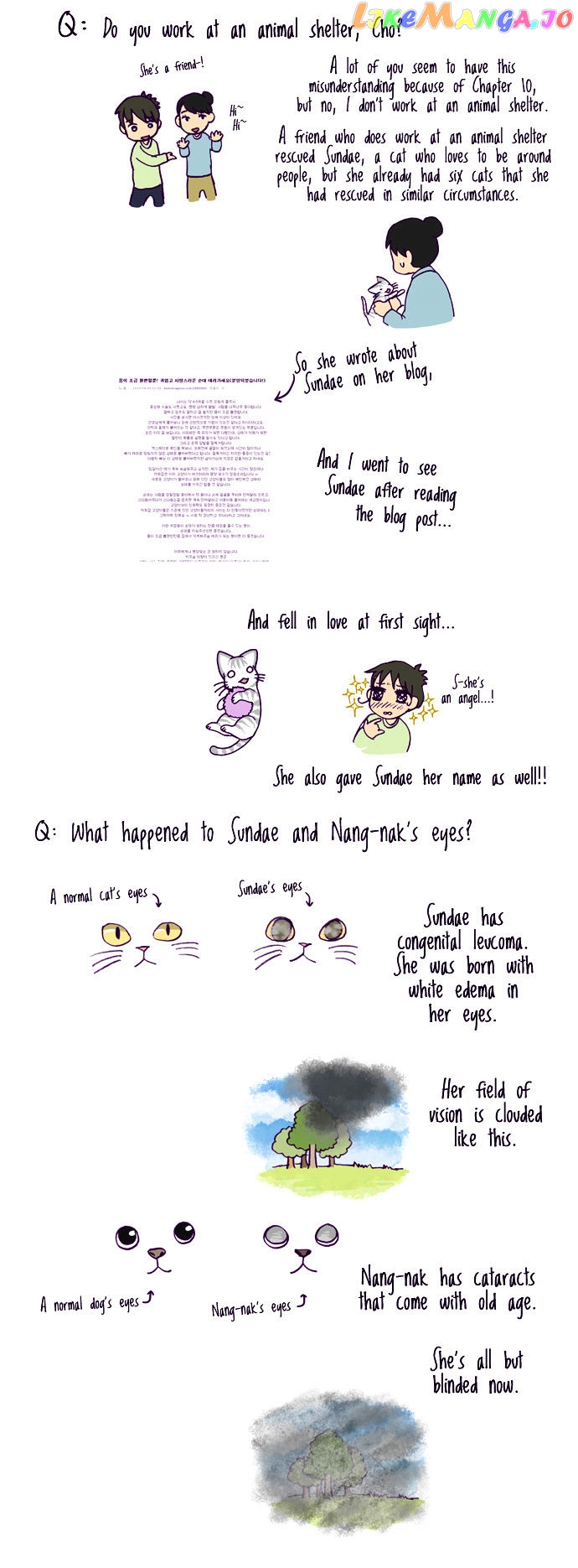 My Young Cat And My Old Dog chapter 100 - page 2