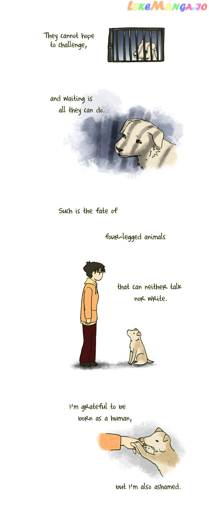 My Young Cat And My Old Dog chapter 103 - page 3