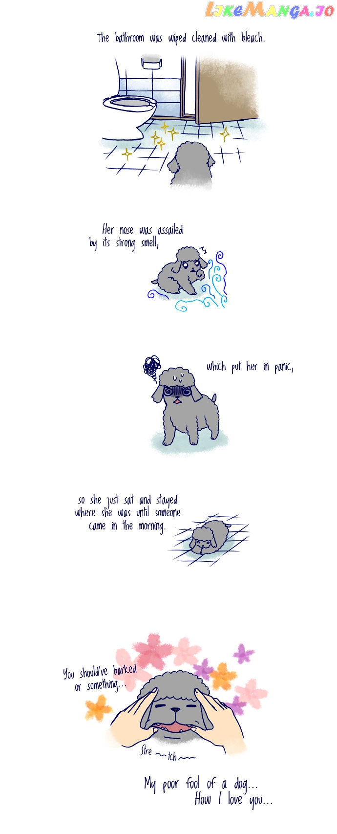 My Young Cat And My Old Dog chapter 104 - page 3