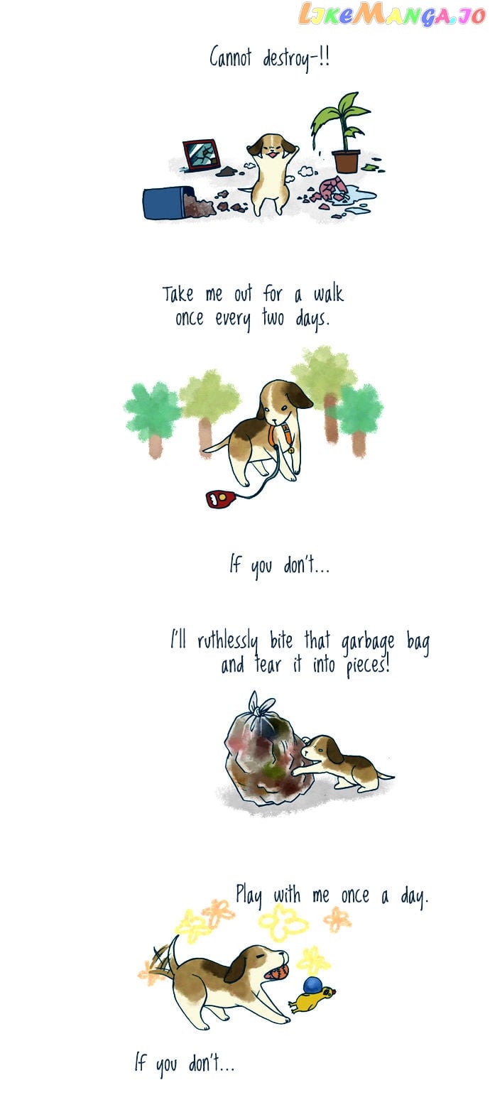 My Young Cat And My Old Dog chapter 105 - page 2