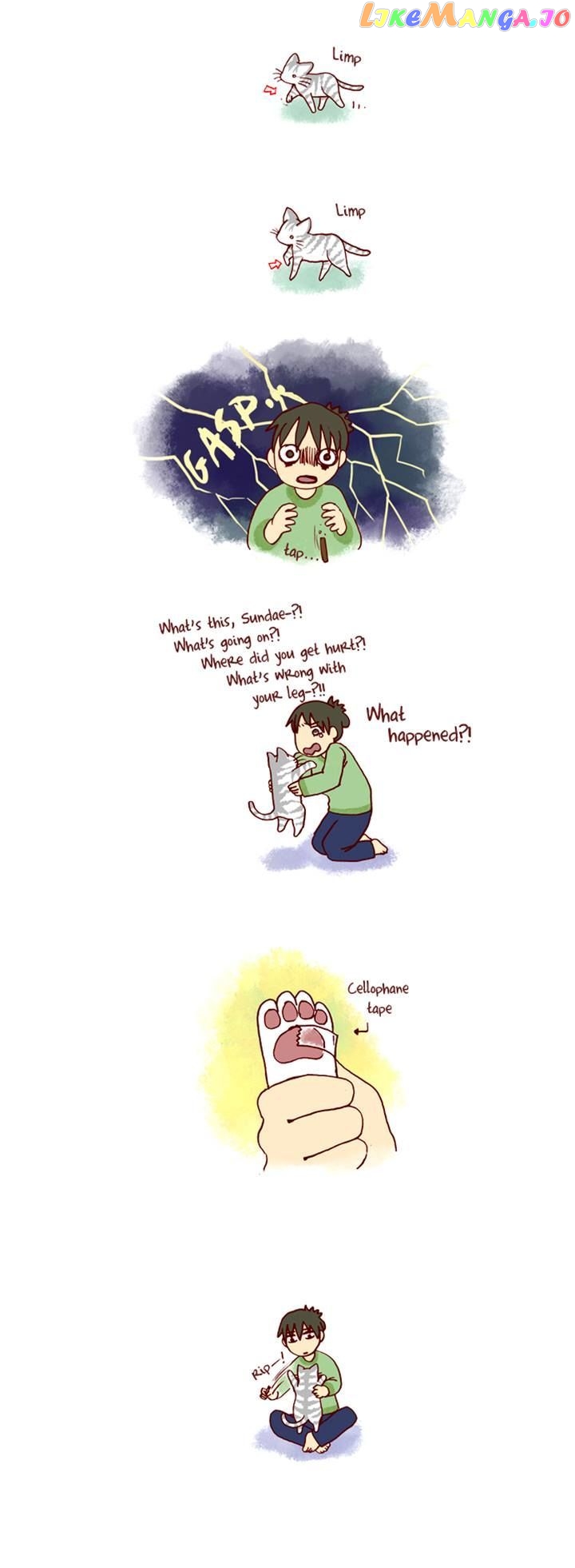 My Young Cat And My Old Dog chapter 107 - page 2