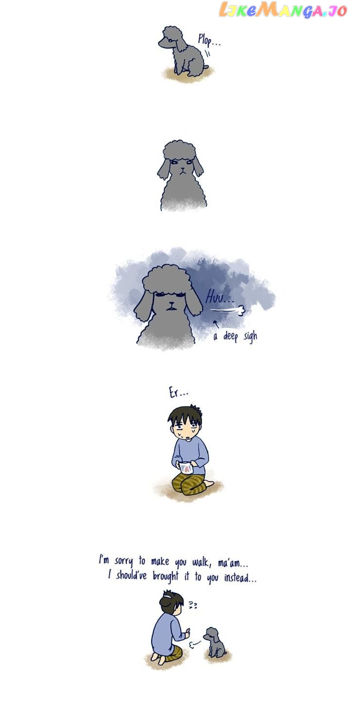 My Young Cat And My Old Dog chapter 107 - page 4