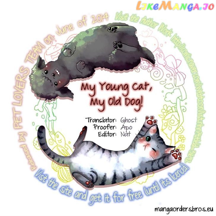 My Young Cat And My Old Dog chapter 107 - page 5