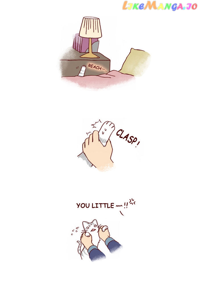 My Young Cat And My Old Dog chapter 109 - page 3