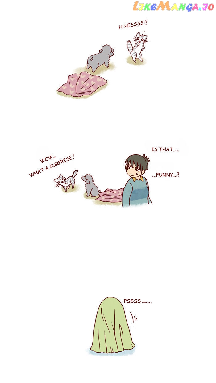 My Young Cat And My Old Dog chapter 112 - page 3