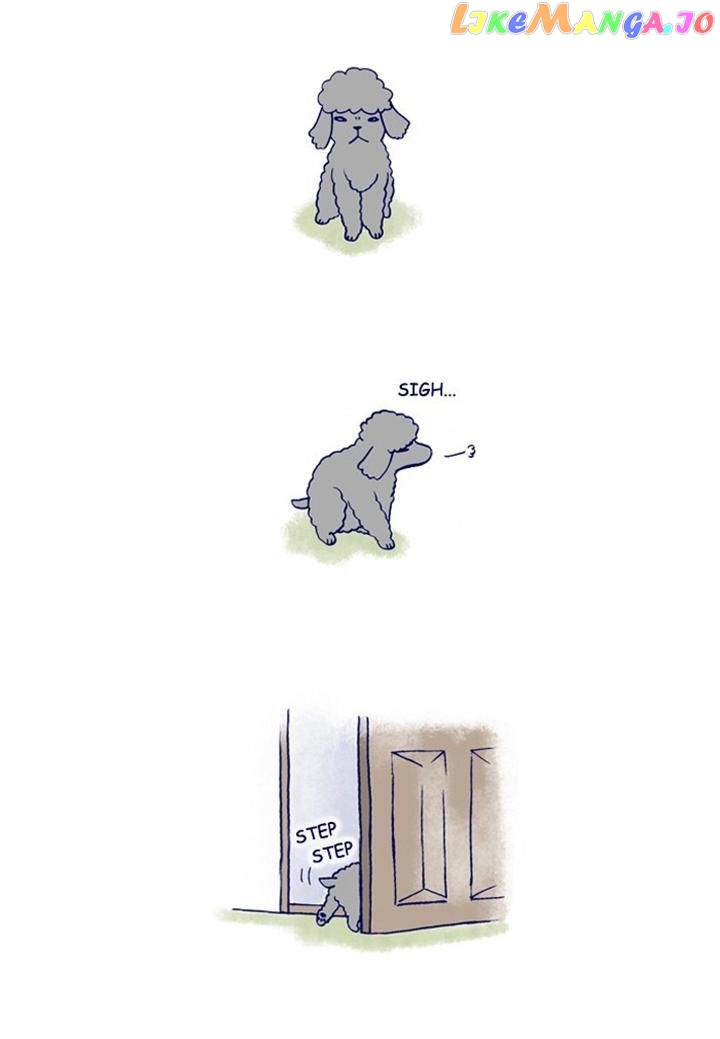 My Young Cat And My Old Dog chapter 114 - page 3