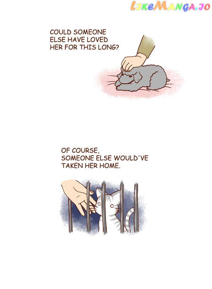 My Young Cat And My Old Dog chapter 118 - page 3