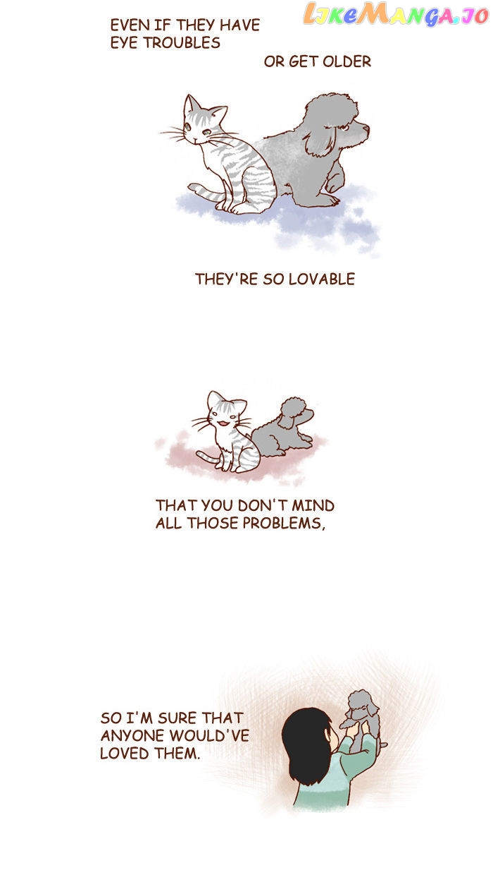 My Young Cat And My Old Dog chapter 118 - page 4