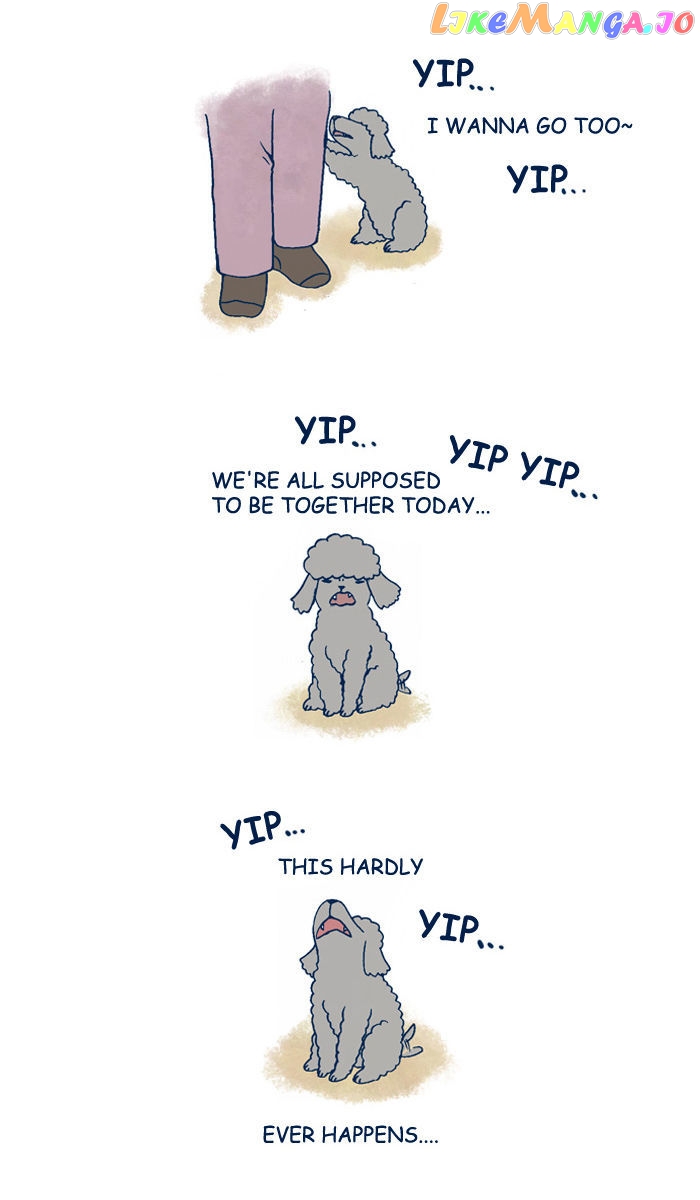 My Young Cat And My Old Dog chapter 119 - page 4