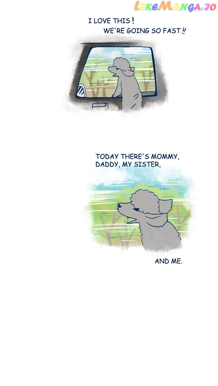 My Young Cat And My Old Dog chapter 119 - page 6
