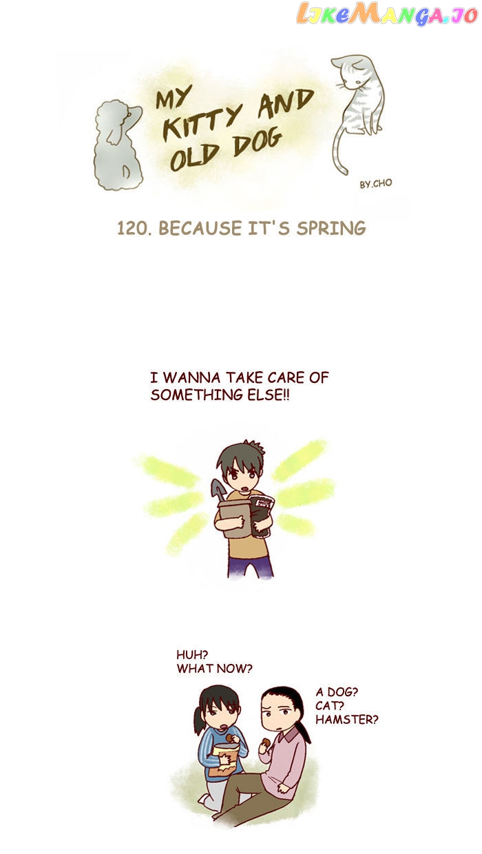 My Young Cat And My Old Dog chapter 120 - page 1