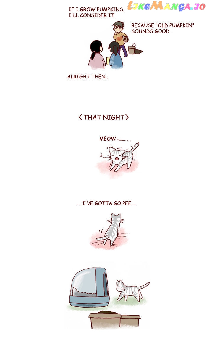 My Young Cat And My Old Dog chapter 120 - page 3