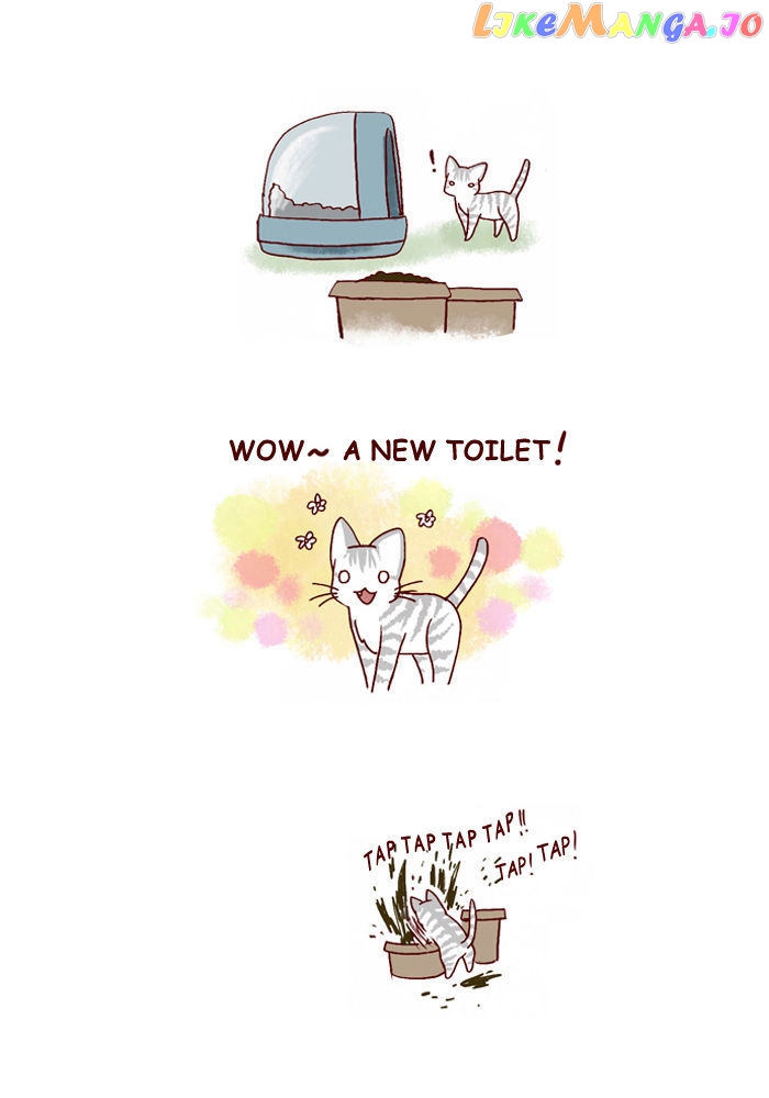 My Young Cat And My Old Dog chapter 120 - page 4