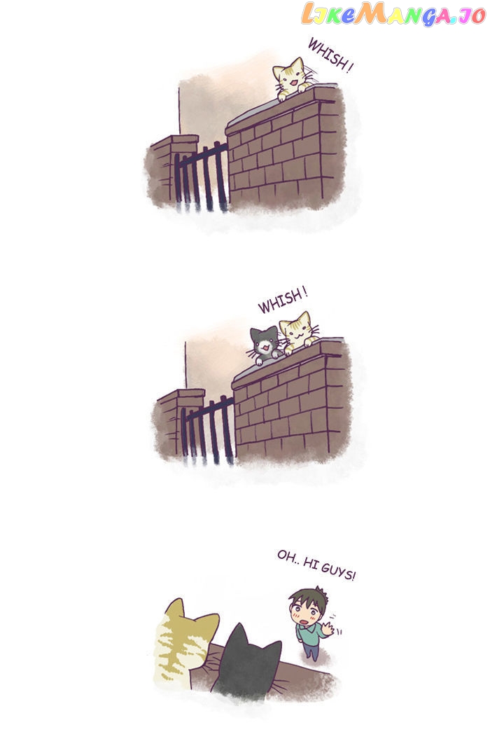 My Young Cat And My Old Dog chapter 122 - page 4
