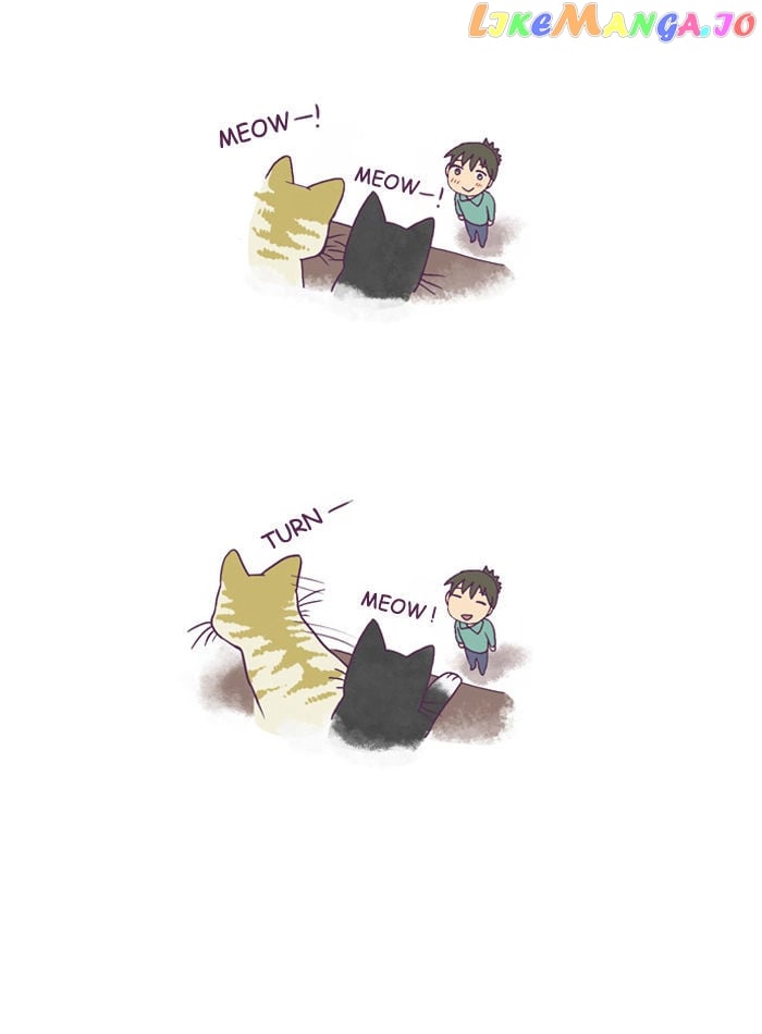 My Young Cat And My Old Dog chapter 122 - page 5