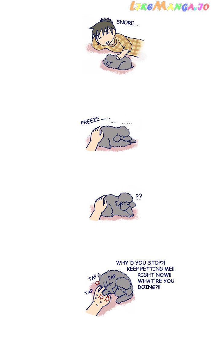 My Young Cat And My Old Dog chapter 123 - page 2