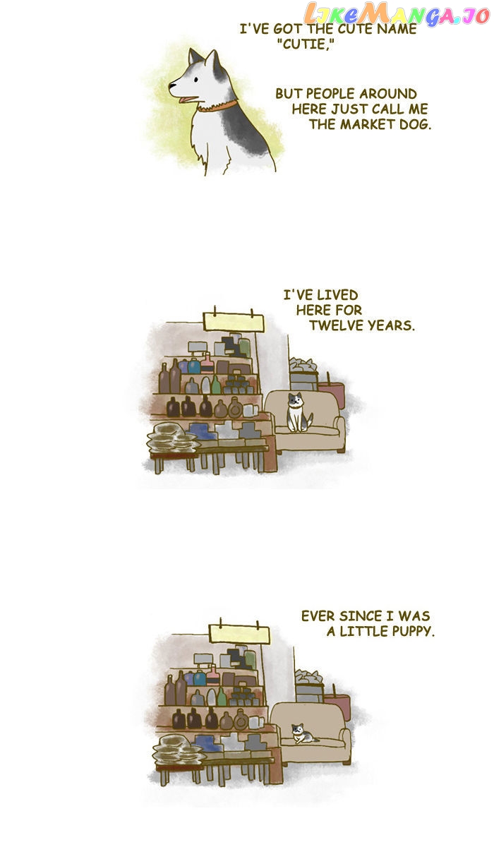 My Young Cat And My Old Dog chapter 126 - page 2