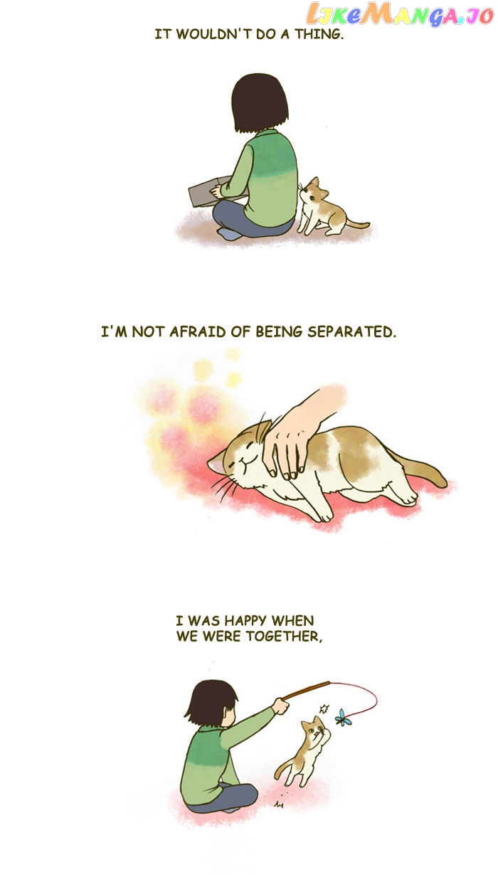 My Young Cat And My Old Dog chapter 127 - page 3