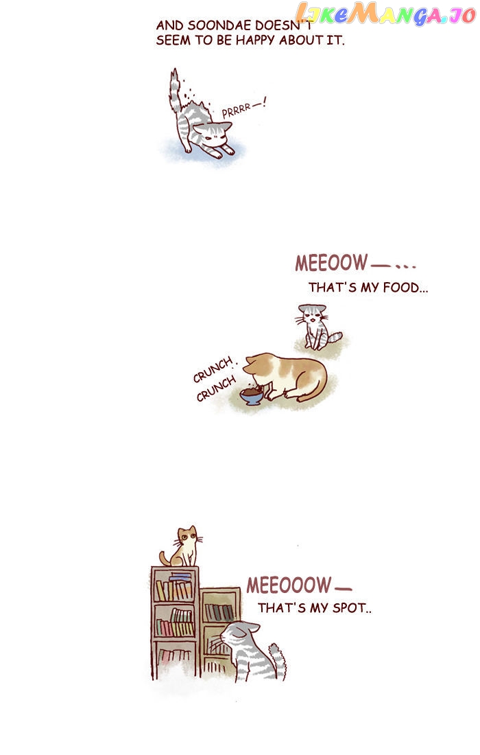 My Young Cat And My Old Dog chapter 128 - page 2
