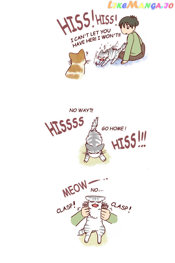 My Young Cat And My Old Dog chapter 128 - page 4
