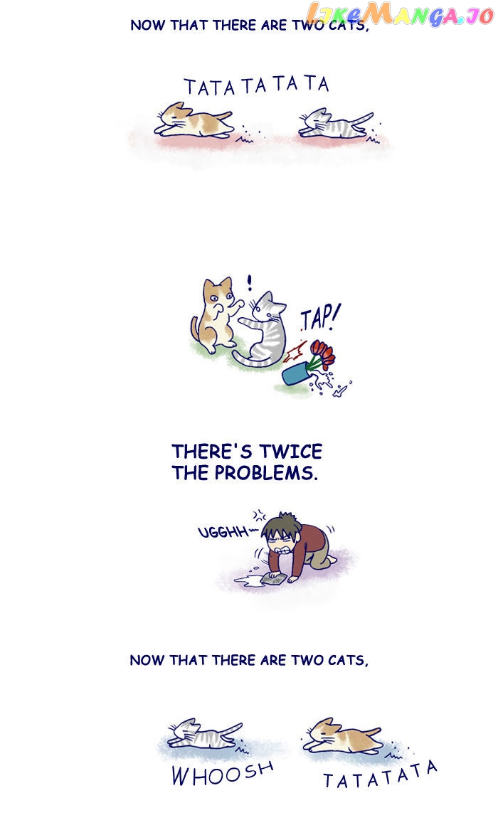 My Young Cat And My Old Dog chapter 130 - page 2
