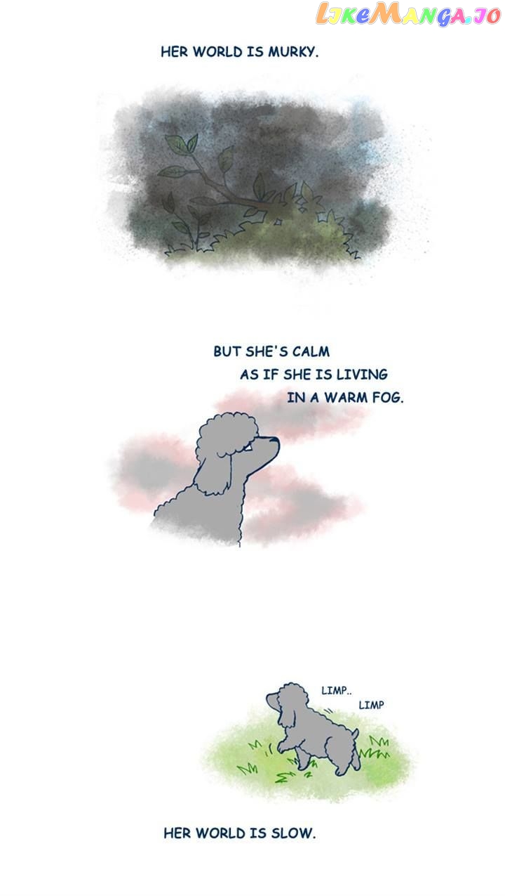 My Young Cat And My Old Dog chapter 137 - page 2
