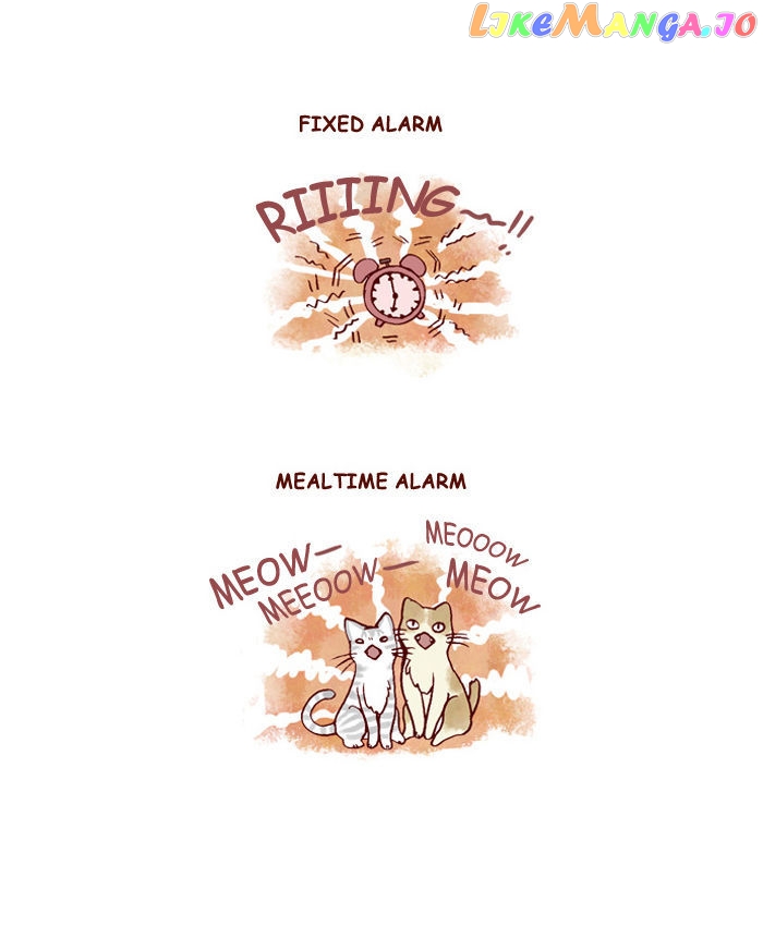 My Young Cat And My Old Dog chapter 139 - page 3