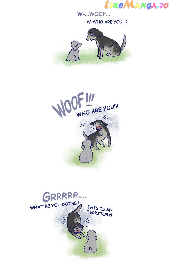 My Young Cat And My Old Dog chapter 142 - page 2