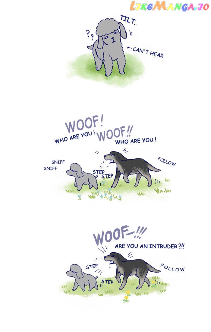 My Young Cat And My Old Dog chapter 142 - page 3